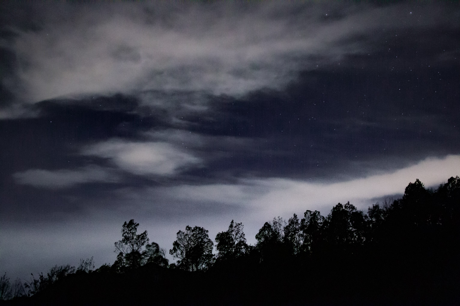 some stars visible between swaths of clouds, trees swaying in wind sillouetted below